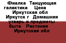 Фиалка “Танцующая галактика“ › Цена ­ 160 - Иркутская обл., Иркутск г. Домашняя утварь и предметы быта » Растения   . Иркутская обл.